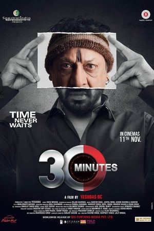 30 Minutes (2016) Hindi Movie [840MB] HD Poster Download - filmyfly