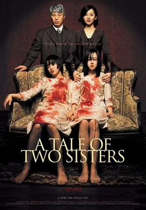 A Tale of Two Sisters 2003 Hindi Dual Audio HD Poster Download - filmyfly