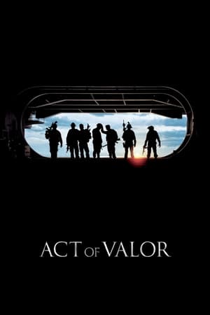 Act of Valor (2012) Hindi Dual Audio [1.1GB] HD Poster Download - filmyfly