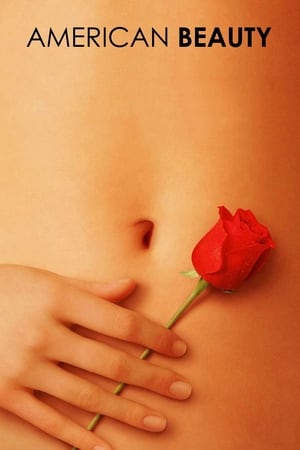American Beauty 1999 Hindi Dual Audio HD Poster Download - filmyfly