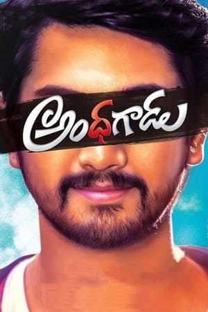 Andhhagadu 2017 Hindi Dual Audio [1.4GB] HD Poster Download - filmyfly