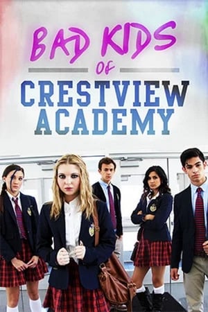 Bad Kids of Crestview Academy (2017) Hindi Dual Audio [900MB] HD Poster Download - filmyfly
