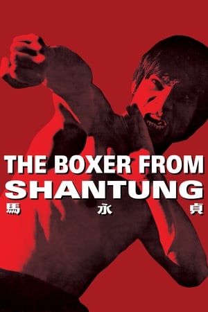 Boxer from Shantung (1972) Hindi Dual Audio [1.2GB] HD Poster Download - filmyfly