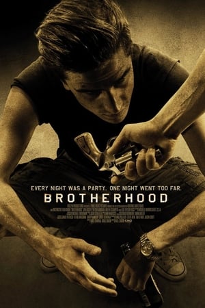 Brotherhood (2010) Hindi Dual Audio – HD Poster Download - filmyfly