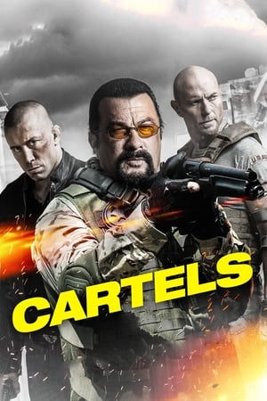 Cartels 2017 Hindi Dual Audio [900MB] HD Poster Download - filmyfly