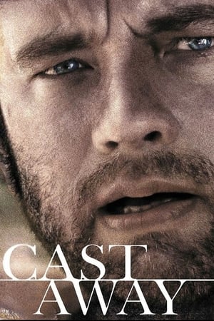 Cast Away 2000 Hindi Dual Audio 450MB