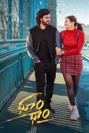 Dhoom Dhaam 2024 Telugu Dubbed