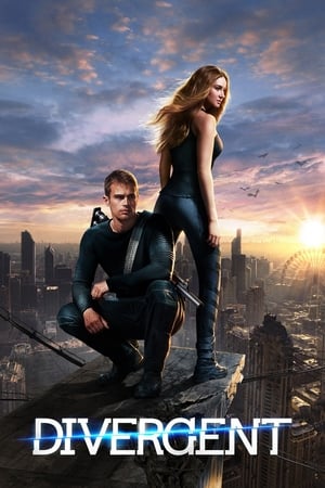 Divergent (2014) Hindi Dual Audio 450MB HD Poster Download - filmyfly