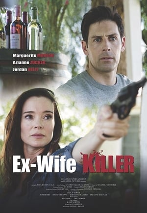 Ex-Wife Killer (2017) Hindi Dual Audio 300MB HD Poster Download - filmyfly