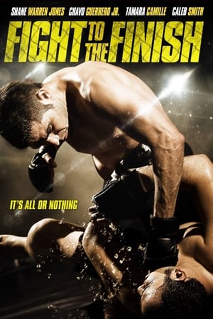 Fight To The Finish (2016) Hindi Dual Audio With ESubs HD Poster Download - filmyfly