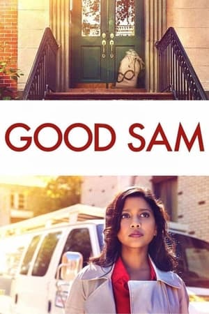 Good Sam 2019 Hindi Dual Audio [820MB] HD Poster Download - filmyfly