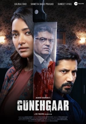 Gunehgaar (2023) Hindi HD Poster Download - filmyfly