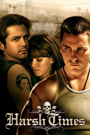 Harsh Times 2005 Hindi Dual Audio – HD Poster Download - filmyfly
