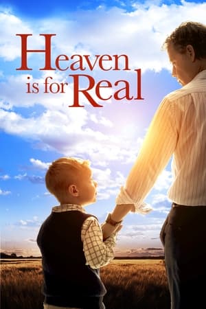 Heaven Is for Real (2014) Hindi Dual Audio 300MB HD Poster Download - filmyfly