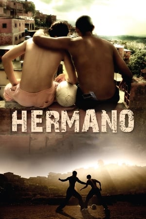 Hermano (2010) Hindi Dual Audio [1.2GB] HD Poster Download - filmyfly
