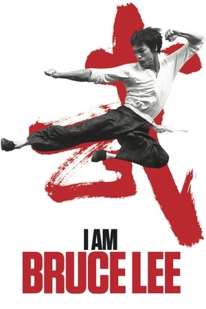 I Am Bruce Lee 2012 Hindi Dual Audio [850MB] Download HD Poster Download - filmyfly