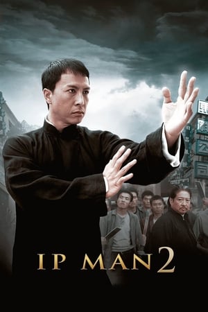 Ip Man 2 (2010) Hindi Dual Audio [1GB] HD Poster Download - filmyfly