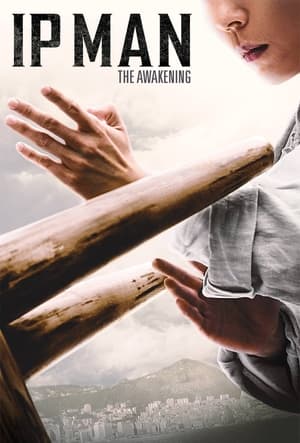 Ip Man: The Awakening (2022) Hindi Dual Audio – HD Poster Download - filmyfly
