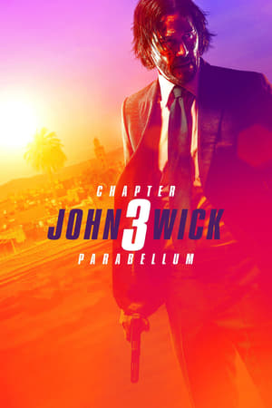 John Wick: Chapter 3 – Parabellum (2019) Hindi (ORG) Dual Audio [1.2GB]
