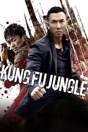 Kung Fu Jungle (2014) Hindi Dual Audio [800MB] HD Poster Download - filmyfly