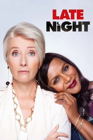 Late Night 2019 Hindi Dual Audio 300MB HD Poster Download - filmyfly