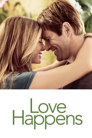 Love Happens (2009) Dual Audio Hindi Full Movie - 950MB