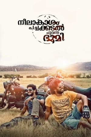 Neelakasham Pachakadal Chuvanna Bhoomi (2013) Hindi Dubbed 450MB HD Poster Download - filmyfly