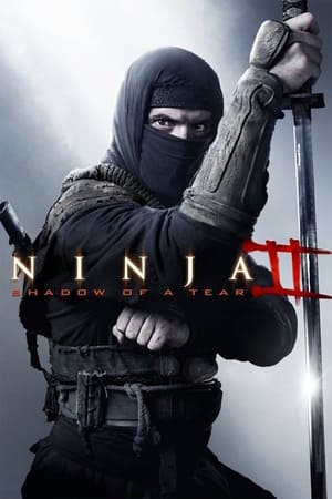 Ninja Shadow of a Tear 2013 Hindi Dual Audio 300MB HD Poster Download - filmyfly