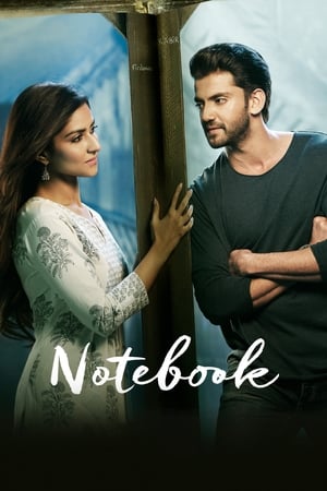 Notebook (2019) Hindi Movie - [400MB] HD Poster Download - filmyfly