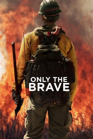 Only the Brave 2017 Hindi Dual Audio – HD Poster Download - filmyfly