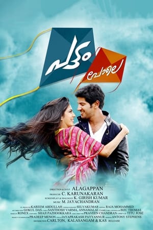Pattam Pole (2013) (Hindi – Malayalam) Dual Audio 400MB HD Poster Download - filmyfly