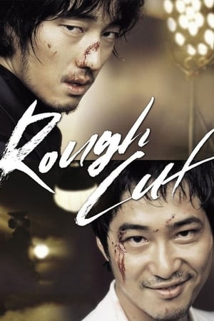 Rough Cut (2008) Hindi Dual Audio [1GB] HD Poster Download - filmyfly