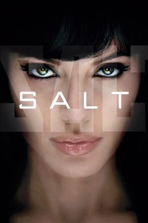 Salt (2010) Hindi Dual Audio 300MB HD Poster Download - filmyfly