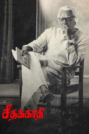 Seethakaathi (2018) Hindi Dubbed [1.1GB] HD Poster Download - filmyfly