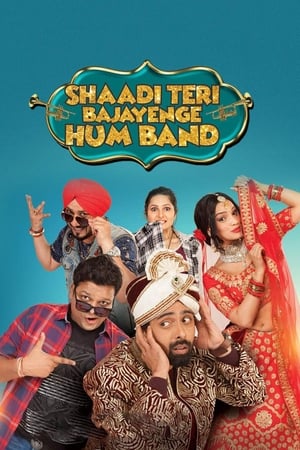 Shaadi Teri Bajayenge Hum Band (2018) Hindi Movie [160MB]