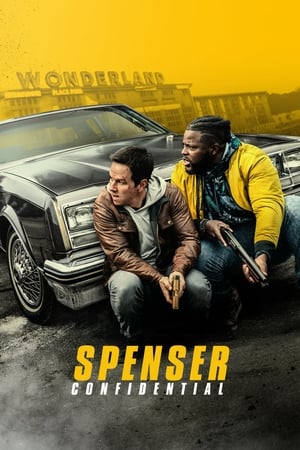 Spenser Confidential (2020) Hindi Dual Audio [1.1GB] HD Poster Download - filmyfly