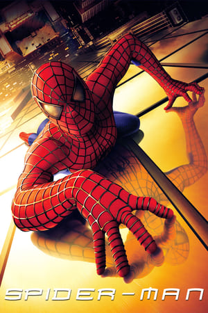 Spider Man 2002 100mb Hindi Dual Audio movie Download HD Poster Download - filmyfly