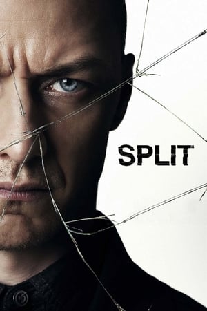 Split (2016) Movie HC [900MB] Download