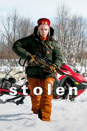 Stolen (2024) Hindi Dual Audio – 720p – HD Poster Download - filmyfly