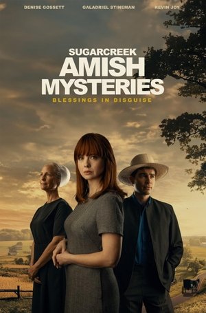 Sugarcreek Amish Mysteries: Blessings in Disguise (2025) Hindi (MULTI AUDIO) – – HD Poster Download - filmyfly