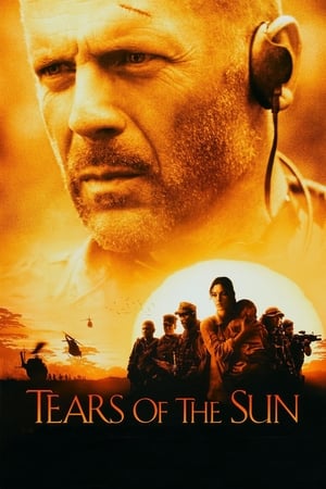 Tears of the Sun 2003 Hindi Dual Audio 360MB HD Poster Download - filmyfly