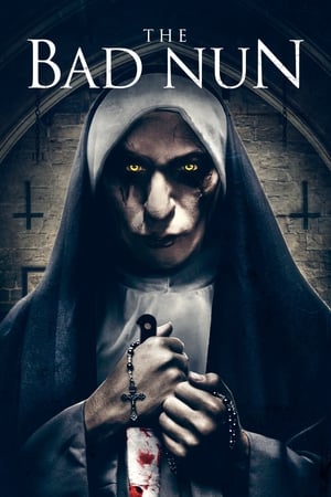 The Bad Nun 2018 Hindi Dual Audio 300MB HD Poster Download - filmyfly