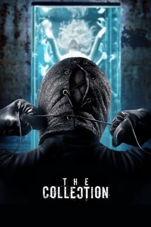 The Collection (2012) Hindi Dual Audio 300MB HD Poster Download - filmyfly