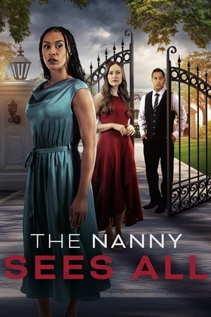 The Nanny Sees All (2025) Hindi (MULTI AUDIO) HD Poster Download - filmyfly