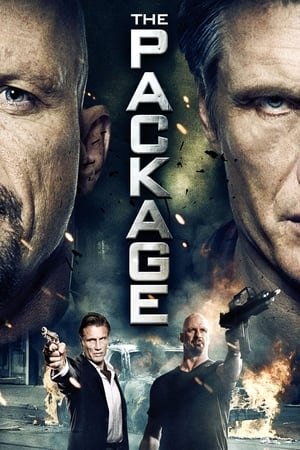 The Package (2013) Hindi Dual Audio [750MB]