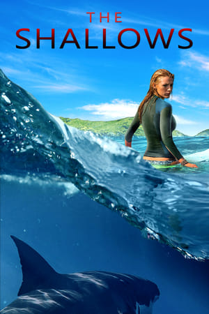 The Shallows 2016 Dual Audio (Hindi) [1GB] HD Poster Download - filmyfly