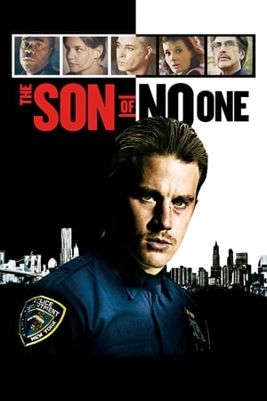 The Son of No One (2011) Hindi Dual Audio 300MB HD Poster Download - filmyfly