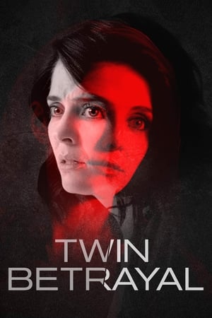 Twin Betrayal (2018) Hindi Dual Audio [640MB] HD Poster Download - filmyfly
