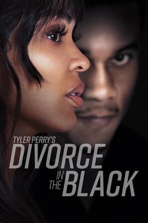 Tyler Perry’s Divorce in the Black (2024) Hindi Dual Audio – –