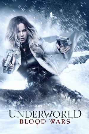Underworld Blood Wars 2016 300MB Hindi Dual Audio HD Poster Download - filmyfly